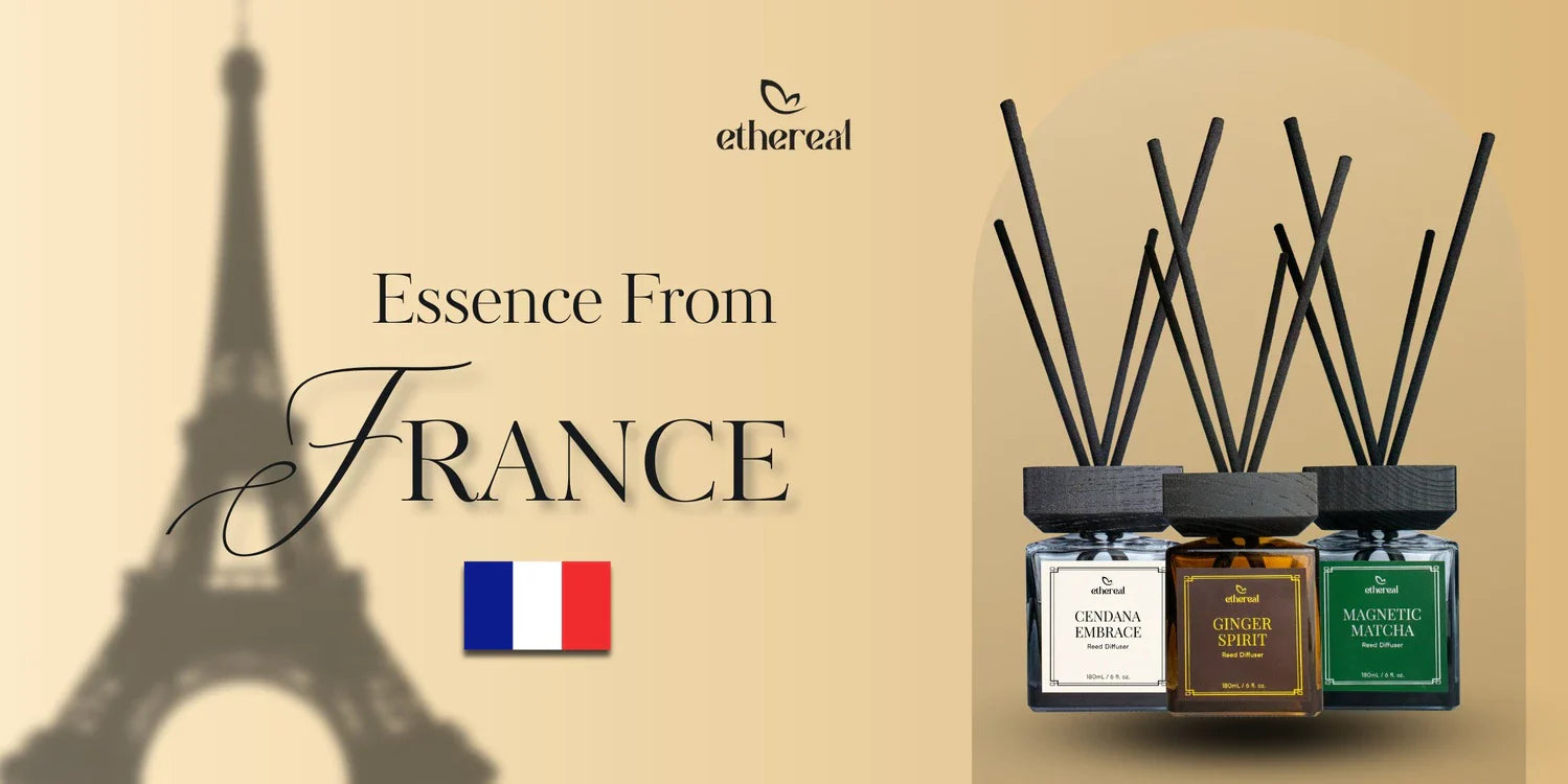 Reed Diffusers