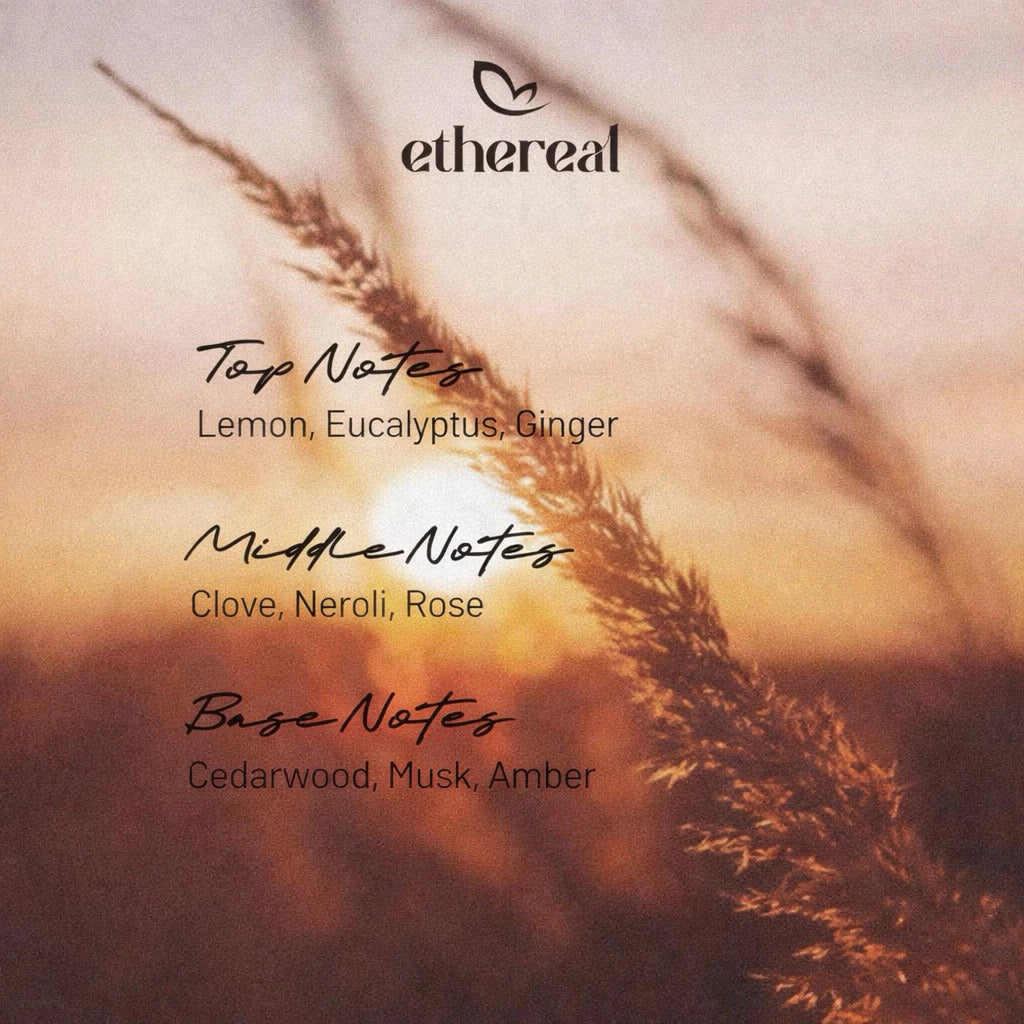 Reed Diffuser Ginger Spirit by Ethereal