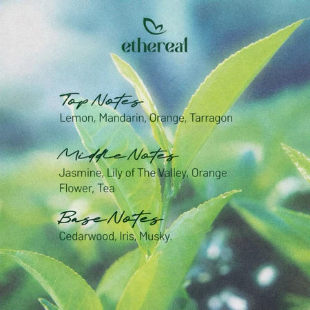 Reed Diffuser Magnetic Matcha by Ethereal